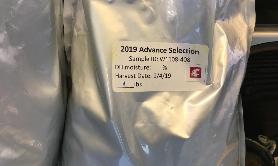 One of the USDA Advanced Lines ready to be brewed! One of the USDA Advanced Lines ready to be brewed!