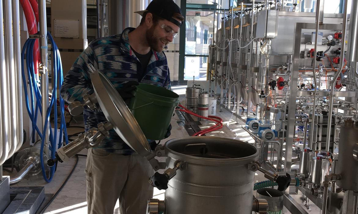 Single Hop Brewing Trials at Deschutes Brewery Single Hop Brewing Trials at Deschutes Brewery